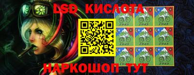 гидропоника Гусев