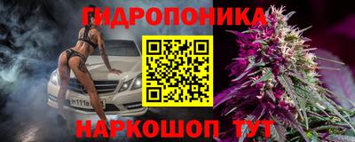 гидропоника Гусев