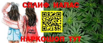 эйфоретик Дубна