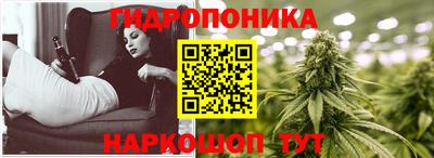 гидропоника Гусев