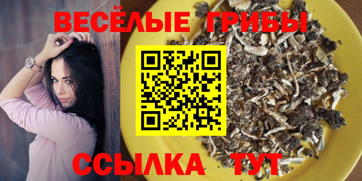 Псилоцибиновые грибы прущие грибы  дарнет шоп  Вход с VPN  Медногорск  Галлюциногенные грибы Cubensis 